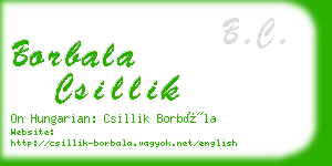 borbala csillik business card